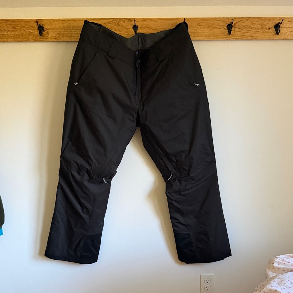 Patagonia Snowpants! Brand new.